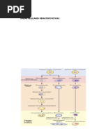 LEUCEMIA