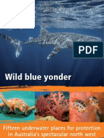 Wild - Wild Blue Yonder-PEW