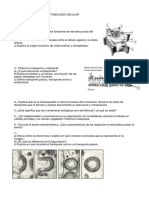 Estructura y Fisiología Celular