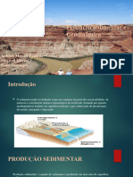 Producao Sedimentar e Geodinamica