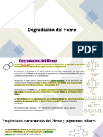 8 Degradacion Del Hemo 2021