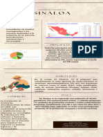 Infografía Esem