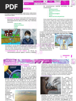 Contaminación Ambiental