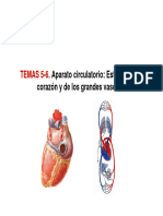 Tema 5-6 Aparato Circulatorio (Estudio Del Corazón y Los Grandes Vasos)