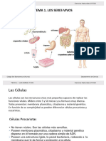 3° Tipos de Células