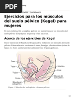 Pelvic Floor Muscle Kegel Exercises Females