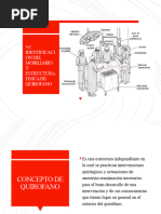 C. Descripcion Del Mobiliario y Estruct Fisica de QX