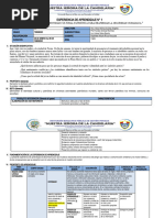 1ro EXPERIENCIA IV