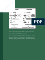 NCDD 04272009 ResearchPlan DiseasesofPancreas