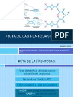 Ciclo Pentosas