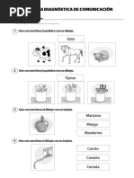 Examen Diagnóstico de Comunicación-2° Grado