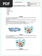 2 Guia Como Se Organizan Los Seres Vivos