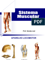 Aula 7 Sistema Muscular