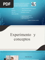 Exprimento y Conceptos