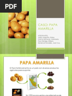 Papa Amarilla