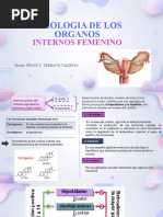 Semana 14 Fisiologia de Los Organos Internos Femenino