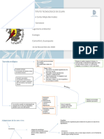 Mapas Conceptuales Lecturas