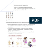 1.12 Clasificacion y Estructura de Los Parasitos