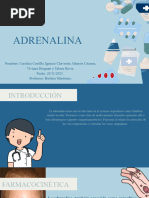 Adrenalina 1