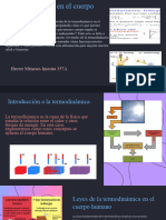Termodinamica en El Cuerpo Humanod
