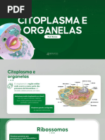 Aula 3 Citoplasmas e Organelas