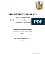 Sig - Manual - Delgado Espinoza Angela 601746