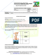 Guia Bio 7 Sistema Excretor Humano