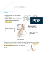 FOOT BONES Summary 