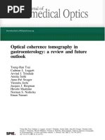 Optical Coherence Tomography in Gastroenterology: A Review and Future Outlook