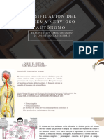 Clasificación Del Sistema Nervioso Autónomo