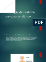 Fisiología Del Sistema Nervioso Periférico