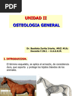 II. Osteologia General-1