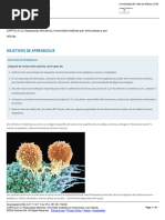 CAPÍTULO 12 - Respuestas Efectoras - Inmunidad Mediada Por Anticuerpos y Por Células