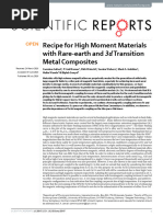 High Mag Moment - Carmine Autieri, P. Anil Kumar, Dirk Walecki, Samira Webers, Mark A. Gubbins Sci Rep - 6 29307