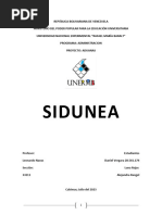 ARTÍCULO (SIDUNEA) FAlTA CONCLUSIÓN