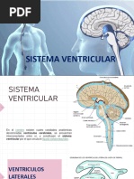 Sistema Ventricular Power