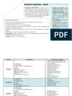 16, 17. Protocolo Abdomen - Pelvis