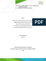 Anexo 2 - Identificación y Análisis Del Problema Trbajo de Grado