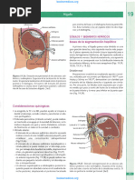 Segmentación Hepática