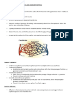 L7: Vascular System, Capillaries and Lymphatic System