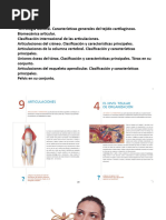 Clase 4 Morfofisiología