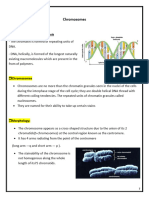 Chromosomes