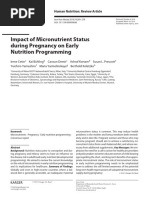 Impact of Micronutrient Status During Pregnancy On Early Nutrition Programming