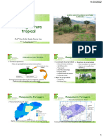 Forragicultura 1 - Estudo Das Gramíneas e Leguminosas