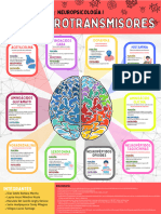 Los Neurotransmisores Grupo 9