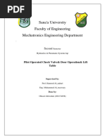 Lab 3 Hydraulic