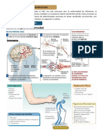 Enf. Neurodeg, Antipsico, Antiepilept, Ansiolit, Antidepre, DBTs