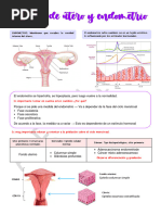 12.1 Cáncer de Útero y Endometrio