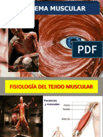 Fisiologia Muscular