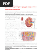 Apuntes Tema 10